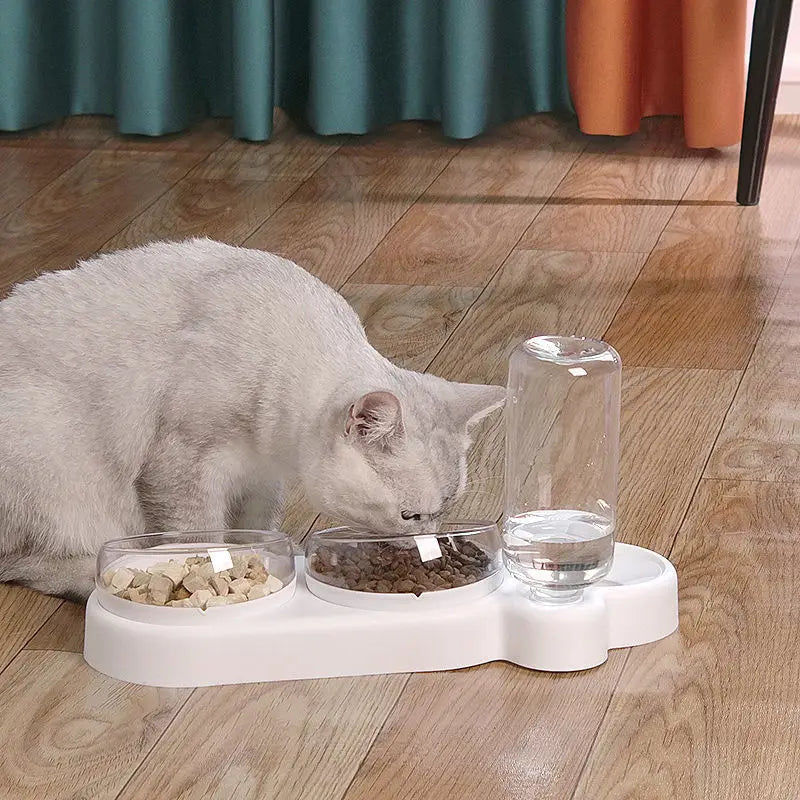 Cat Food Bowl Pet Dog Automatic Feeder With Water Dispenser Drinking For Cat Dog Double Bowl Raised Stand Dish 3 in 1