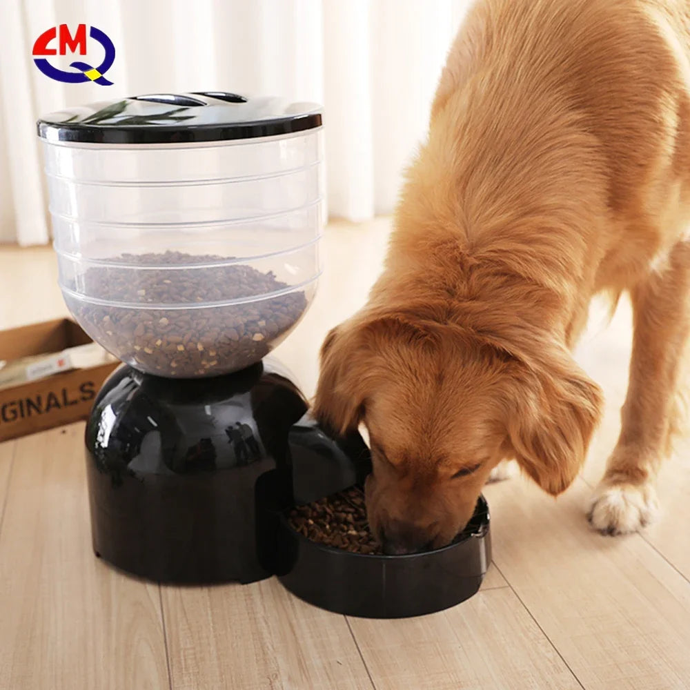 wholesale new remote control wifi connect slow feed smart pet dog automatic feeder