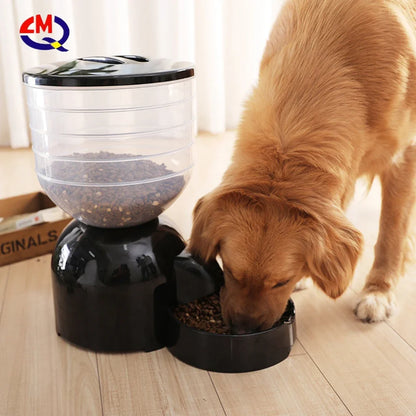 wholesale new remote control wifi connect slow feed smart pet dog automatic feeder