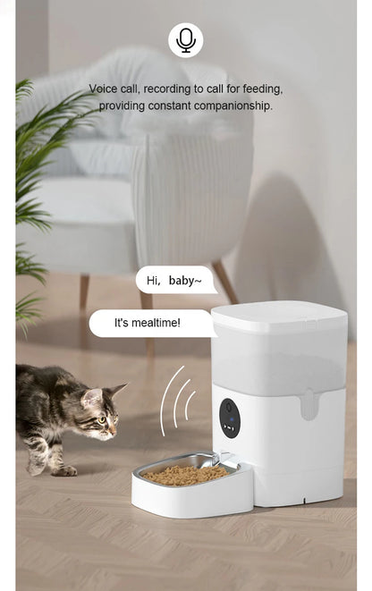 Wholesale Pet Feeders Stainless Steel Bowl Food Dispenser Timed Cat Dog Bowl Smart Automatic Pet Feeder With Cam-era