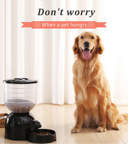 wholesale new remote control wifi connect slow feed smart pet dog automatic feeder