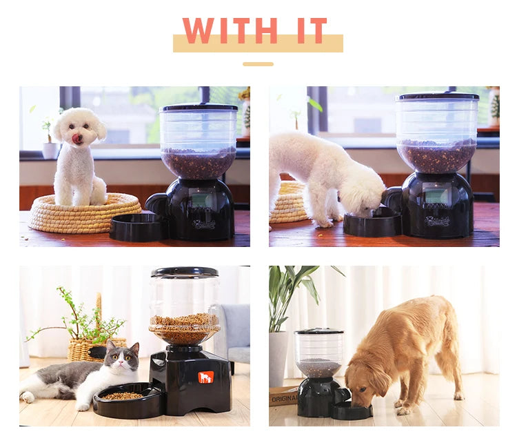 wholesale new remote control wifi connect slow feed smart pet dog automatic feeder